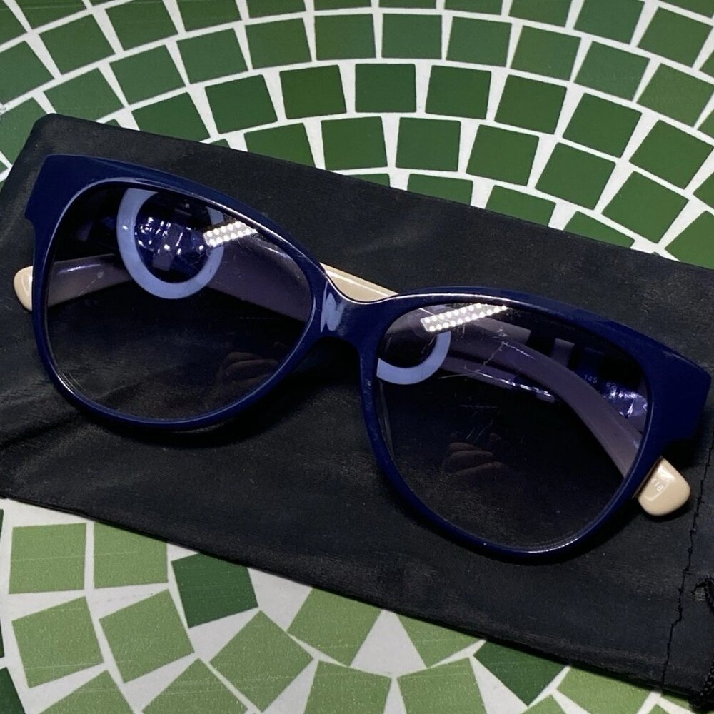 Longchamp Oversized Sunglasses Blue White Striped LO637S 424 w/ Pouch